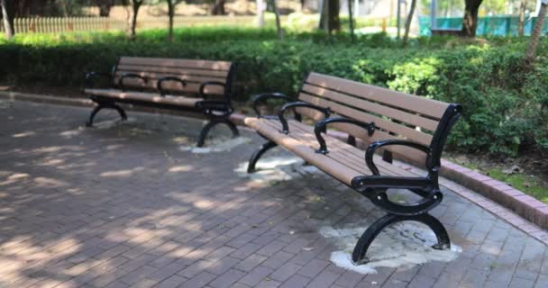 Feb 2022 Empty Benches Trees Park — Stock Video