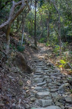 26 Şubat 2022 Çam Ormanı boyunca Rocky Patikası, Razor Tepesi
