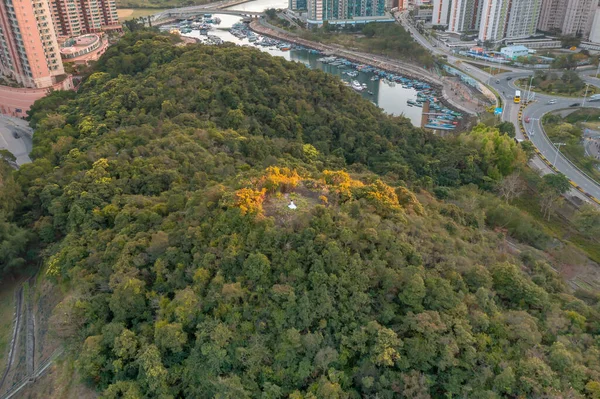 Maart 2022 Heuvel Van Oscar Aan Zee — Stockfoto