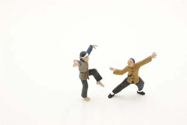 Der Spaß Mini Kampf Der Figur Kungfu — Stockfoto