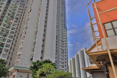 Ying Tung Malikanesi, Lantau Adası, 20 Nisan 2021