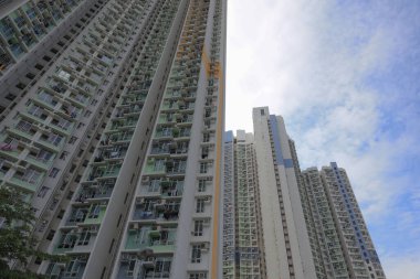 Ying Tung Malikanesi, Lantau Adası, 20 Nisan 2021