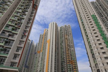 Ying Tung Malikanesi, Lantau Adası, 20 Nisan 2021