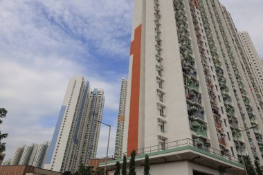 Ying Tung Malikanesi, Lantau Adası, 20 Nisan 2021