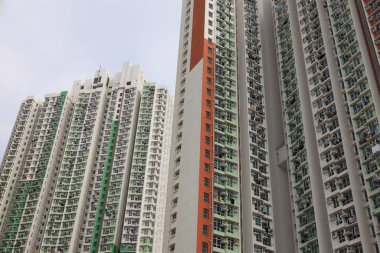 Ying Tung Malikanesi, Lantau Adası, 20 Nisan 2021