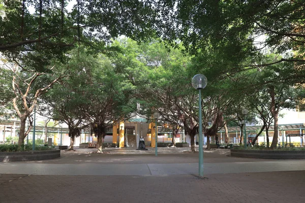 Mały Park Posiadłości Tung Hongkong Kwietnia 2021 — Zdjęcie stockowe