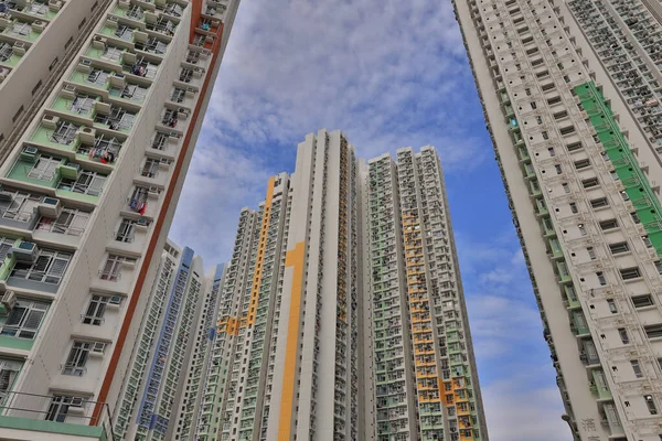 Ying Tung Malikanesi, Lantau Adası, 20 Nisan 2021