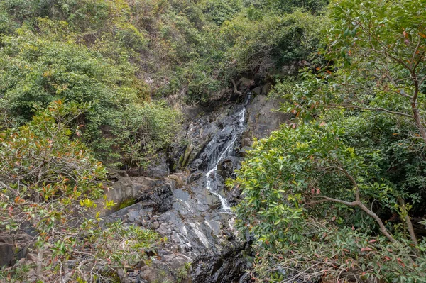 März 2022 Siu Chik Sha Wasserfall Lohas Park Hong Kon — Stockfoto