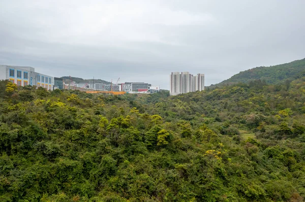 2022年3月16日香港小赤沙景观 — 图库照片