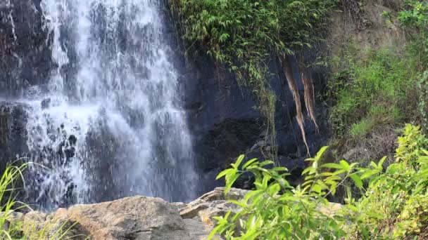 Waterstroom Bij Belangrijkste Waterval Van Silvermine Waterval Lantau — Stockvideo