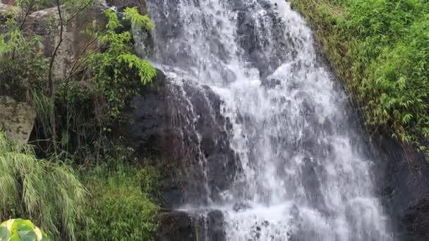 大屿山银矿瀑布主要瀑布的水流 — 图库视频影像