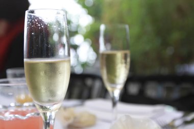 Şampanya ile kutlama tostu, bir bardak şampanya.