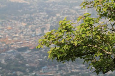 Hong Kong 'un doğa arka planında izin