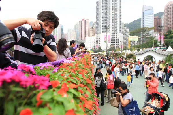 Hong Kong Virágkiállítás Tavasszal — Stock Fotó