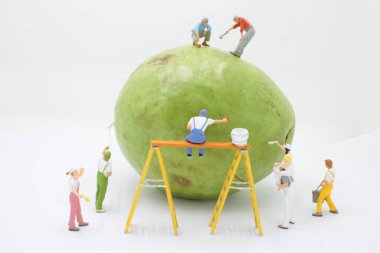 Boyacı adam boyası, boya silindiri ve kovayla