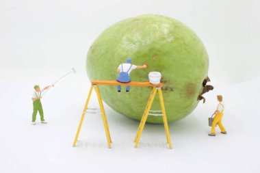 Boyacı adam boyası, boya silindiri ve kovayla