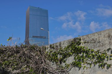 10 Nisan 2022 Havadan kökleri ve dalları yansıtan modern bina cephesi