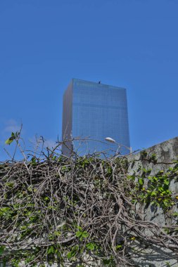 10 Nisan 2022 Havadan kökleri ve dalları yansıtan modern bina cephesi