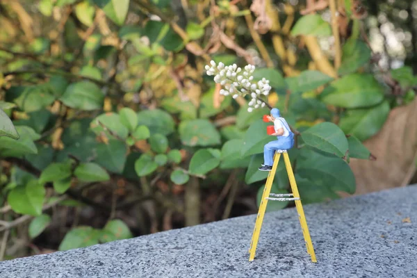 Der Mini Maler Hält Einen Pinsel Bemalt Die Blume — Stockfoto