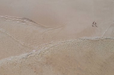 23 Nisan 2022 Berrak Su Koyu 'ndaki tropik sahil suyu arka planı