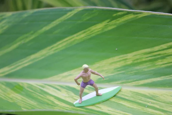 Yaprağın Üzerinde Sörfçülerin Eğlencesi — Stok fotoğraf
