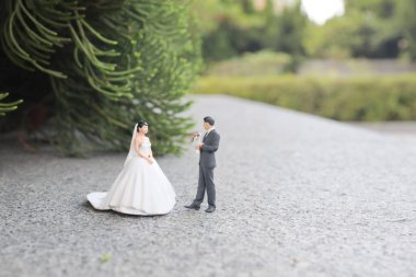 Güzel bir düğün çifti, düğün günlerinde mutlu bir çiftin portresi.