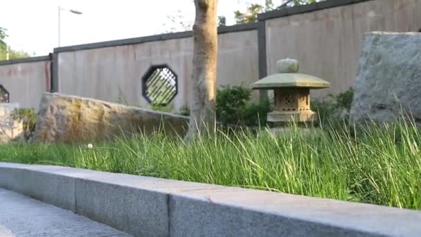Krásné Panorama Zeleného Městského Parku Úsvitu — Stock video