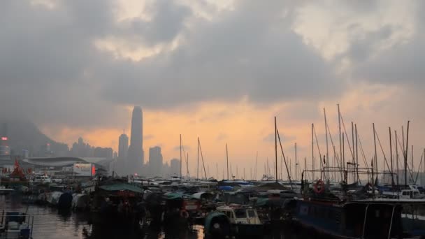 Şubat 2019 Causeway Körfezi Tayfun Sığınağı Hong Kong — Stok video