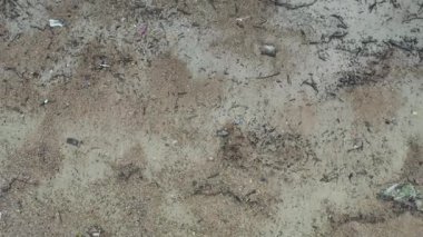 18 Haziran 2019 'da Pik Sha Wan' da güzel deniz ve kayalar vardı.