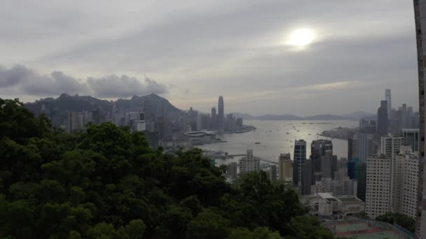 Julio 2019 Hong Kong Puerto Victoria Ciudad Hong Kong — Vídeo de stock