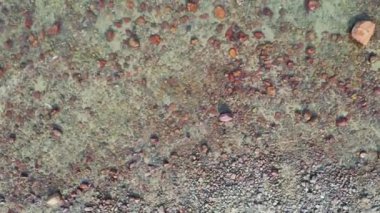 24 Aug 2019 the Pebbles Beach at Nai Chung