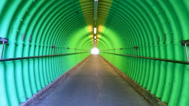 Jan 2018 Tunnel Road Green Tunnel Light – Stock-video