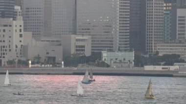 24 Kasım 2019. Hong Kong Limanı 'ndaki Catboat manzarası.