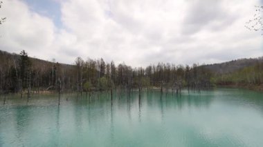 12 Mayıs 2017 Biei, Hokkaido, Japonya 'nın doğal harikası.