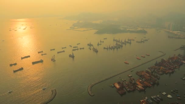 Sept 2018 Yau Tei Typhoon Shelter Hong Kong — Stockvideo