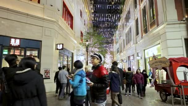 Dec 2017 Lee Tung Avenue Christmas Decoration Lee Tung Avenue — стокове відео
