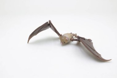 Uçan küçük, hayvani, kahverengi yarasa. Beyazda izole edilmiş.