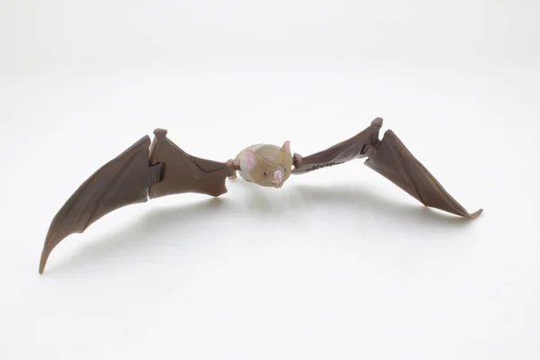 Pequeno Morcego Castanho Voar Isolado Branco — Fotografia de Stock