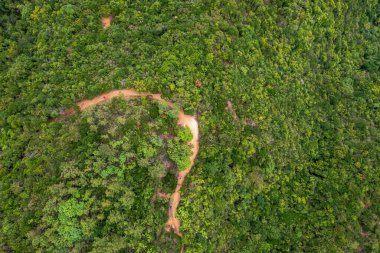 5 Haziran 2022 Tai Tam Country Park Quarry Bay Uzatma Bölümü