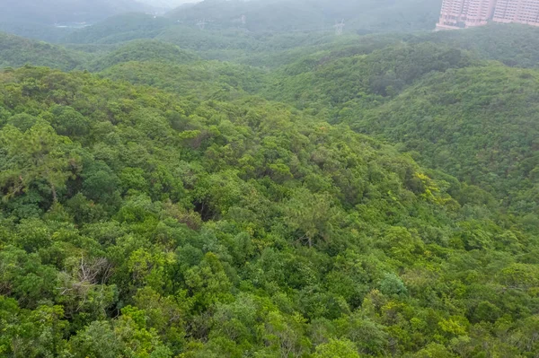 2022年6月4日香港大潭郊野公园自然景观 — 图库照片