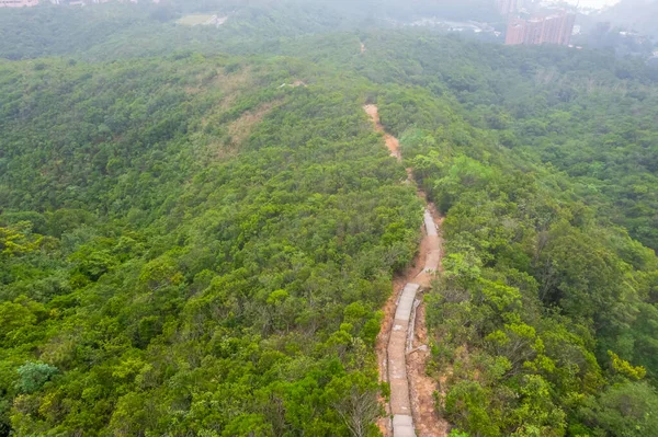 Června 2022 Přírodní Krajina Tai Tam Country Park Hong Kongu — Stock fotografie