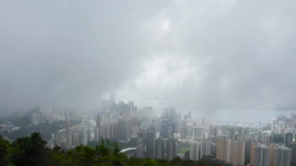 Июня 2022 Года Jardine Lookout View Hong Kong Cityscape — стоковое видео