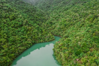 12 Haziran 2022 Tai Tam Tuk Rezervuarı Hong Kong Adası 