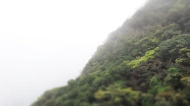 28 Feb 2015 city in fog weather viewed from Victoria Peak