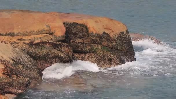 Oct 2014 Waves Rocks Sea Shek — Vídeo de Stock