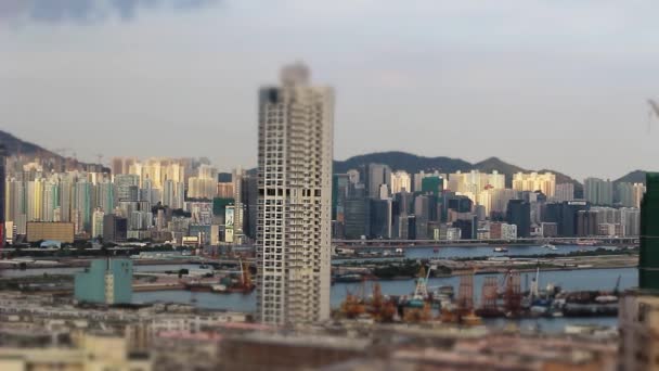 Aug 2014 Kwa Wan Hong Kong — Stock Video