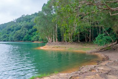 18 Haziran 2022 Yukarı Shing Mun Rezervuarı HK 'da bir rezervuar.