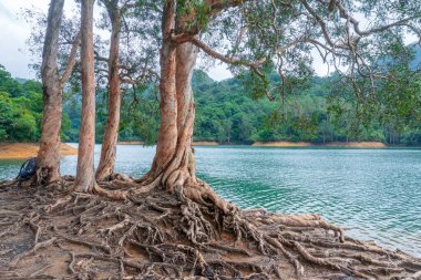 18 Haziran 2022 Yukarı Shing Mun Rezervuarı HK 'da bir rezervuar.