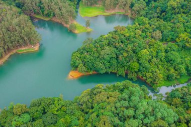 18 Haziran 2022 Yukarı Shing Mun Rezervuarı HK 'da bir rezervuar.