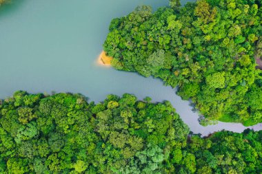 18 Haziran 2022 Yukarı Shing Mun Rezervuarı HK 'da bir rezervuar.